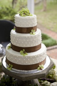 Stax Bakery Wedding Cake with a brown lining green flower and white dotted design.